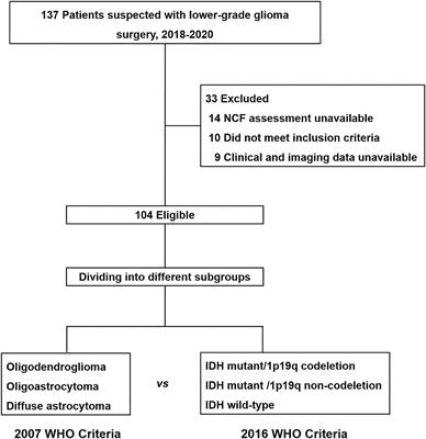 Pre-operative Neurocognitive Function Was More Susceptible to Decline in Isocitrate Dehydrogenase Wild-Type Subgroups of Lower-Grade Glioma Patients